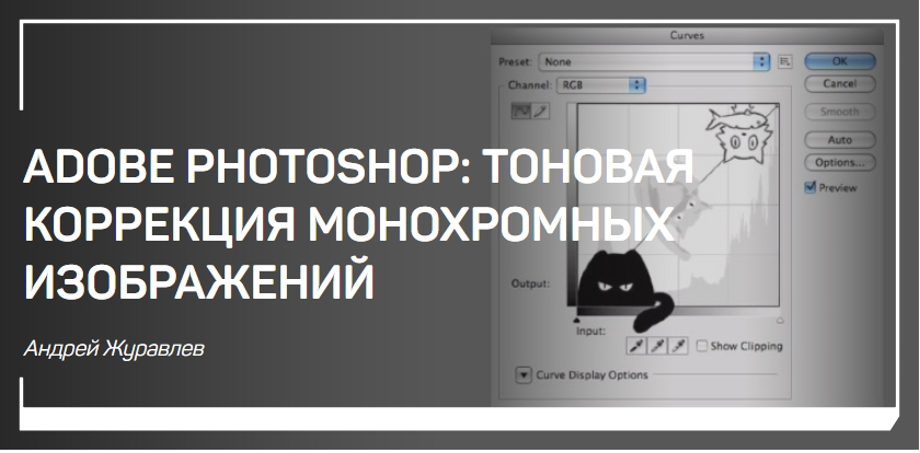Adobe Photoshop_ тоновая коррекция монохромных изо_0.png